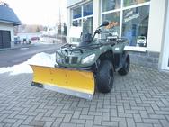 Arcticcat 400 4x4 mit Winterpaket